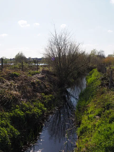 Kalkense Meersen (België)